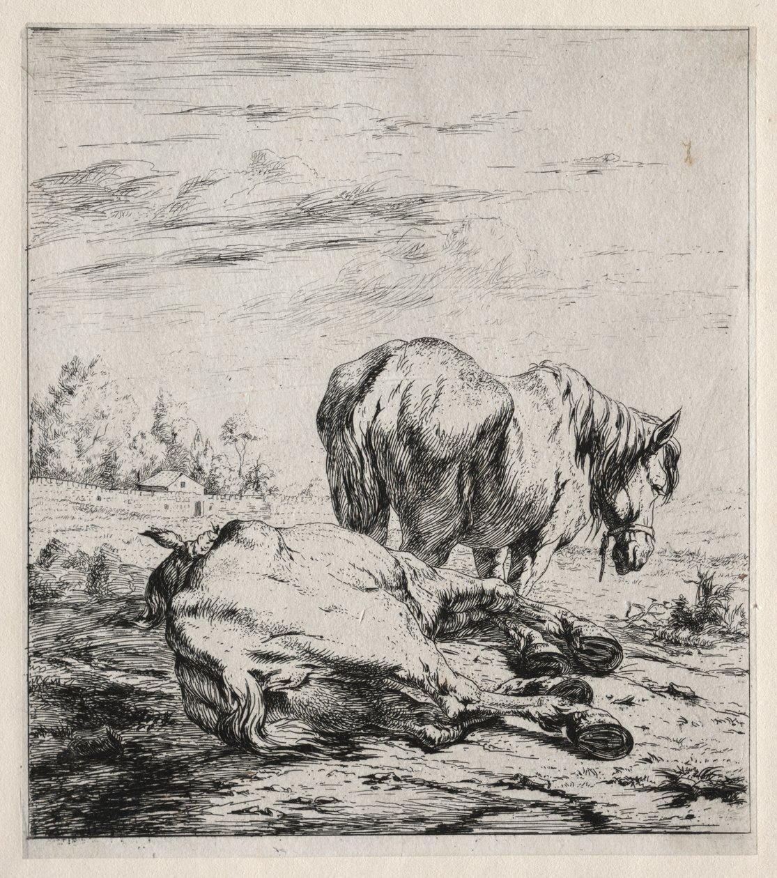 De to Heste af Charles Meryon