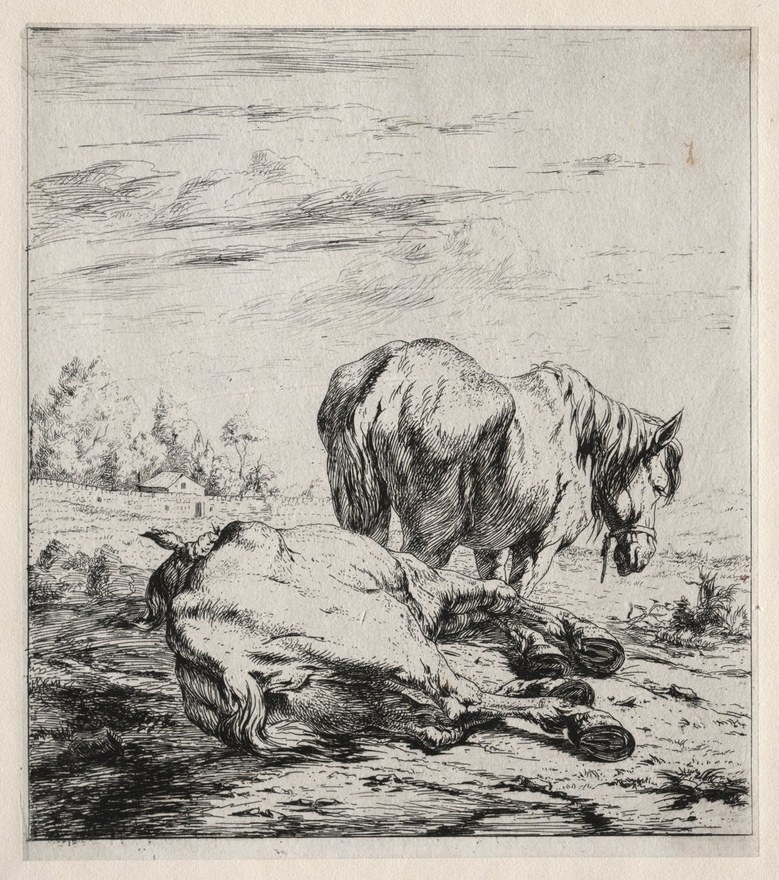 De to heste, 1850. af Charles Meryon