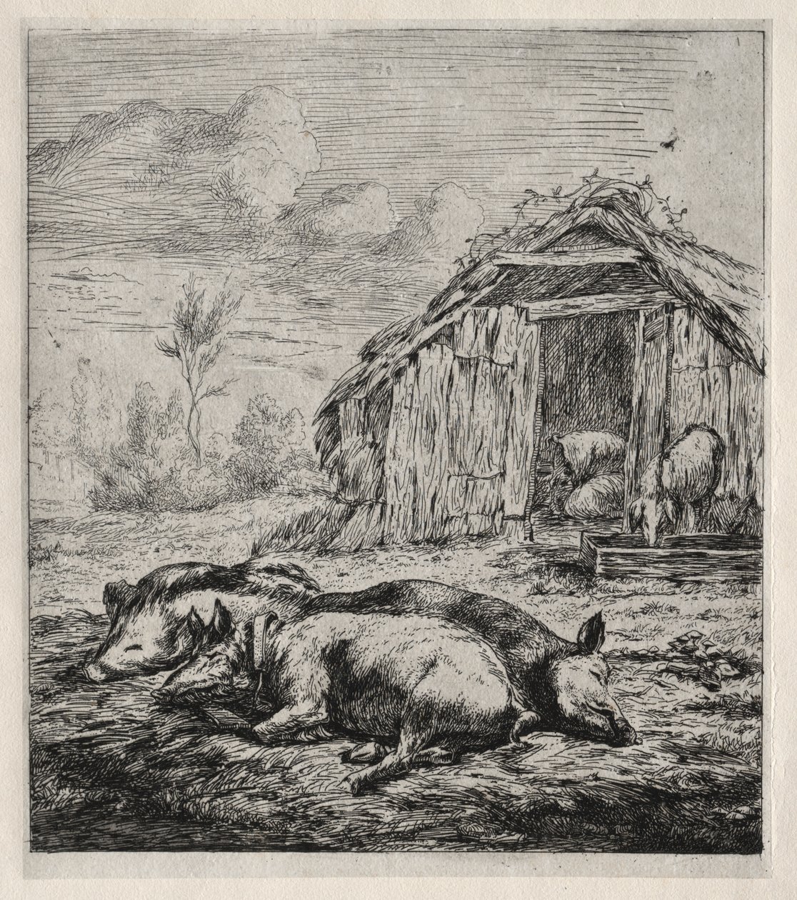 Tre svin, der ligger foran en stald af Charles Meryon