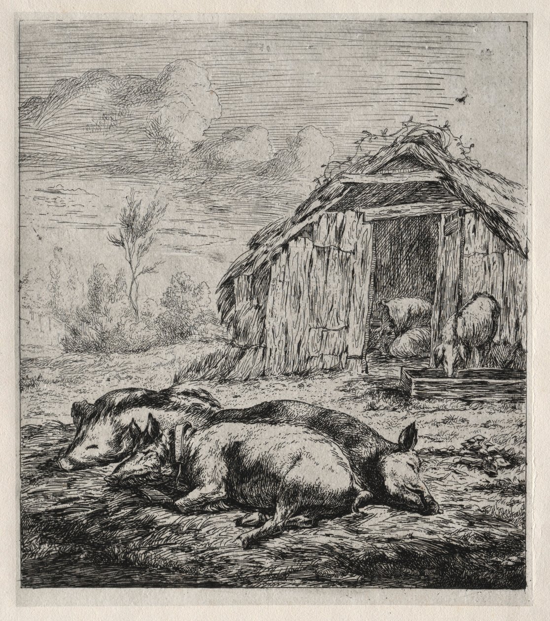 Tre Svin liggende foran en Sti, 1850. af Charles Meryon