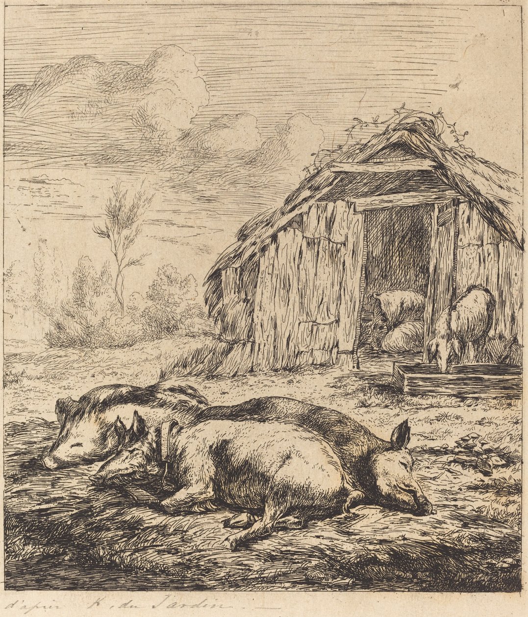 De tre grise, der ligger foran stalden (tre svin, der ligger foran en stald) af Charles Meryon after Karel Dujardin