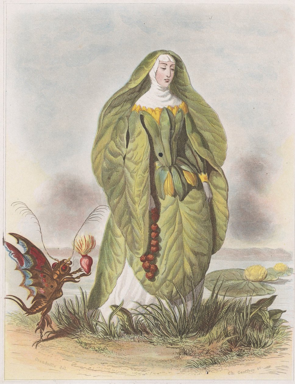 Åkande, fra Les Fleurs Animées, 1847. af Charles Michel Geoffroy