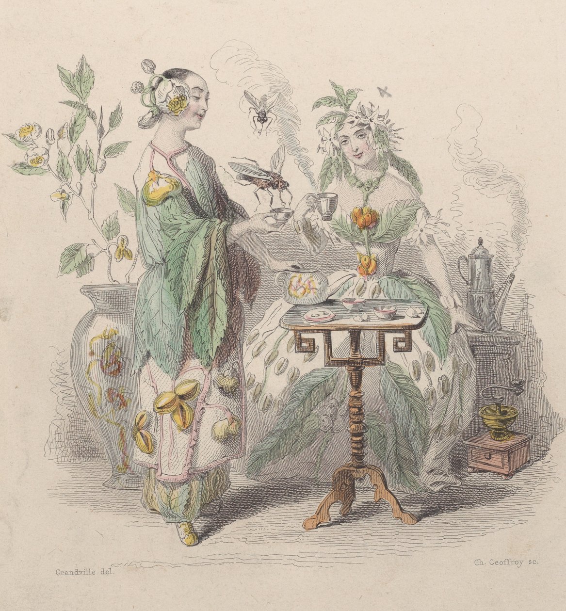 Te og kaffe, fra Les Fleurs Animées, 1847. af Charles Michel Geoffroy