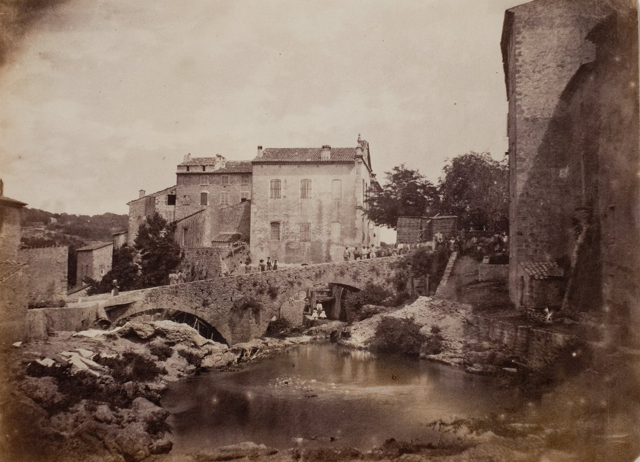 Grasse af Charles Nègre