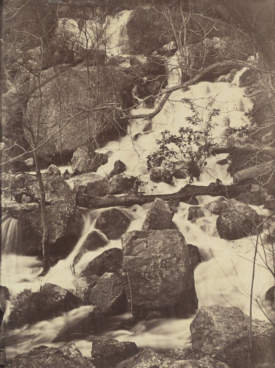 [Træer og Vandfald], 1860-65. af Charles Nègre