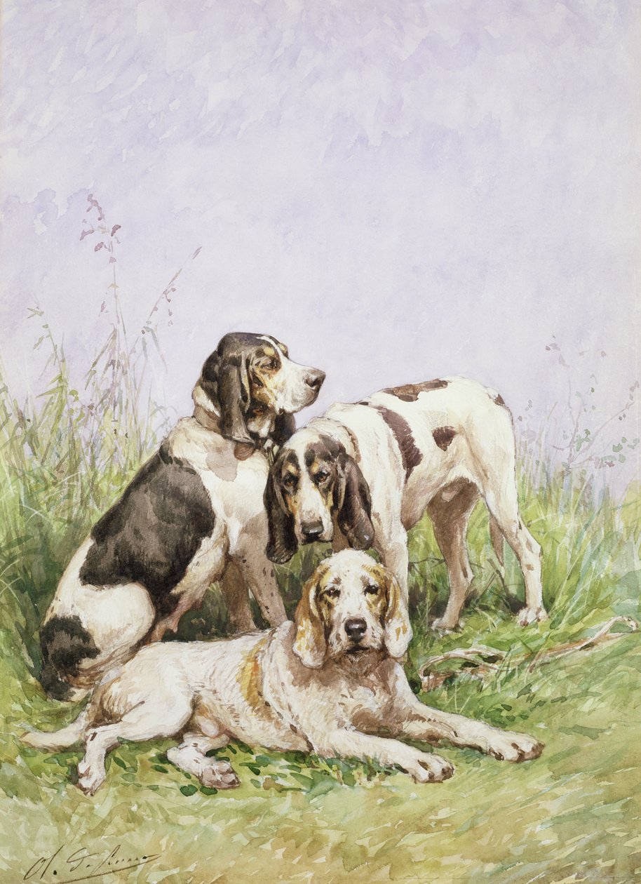 En gruppe franske hunde af Charles Oliver de Penne