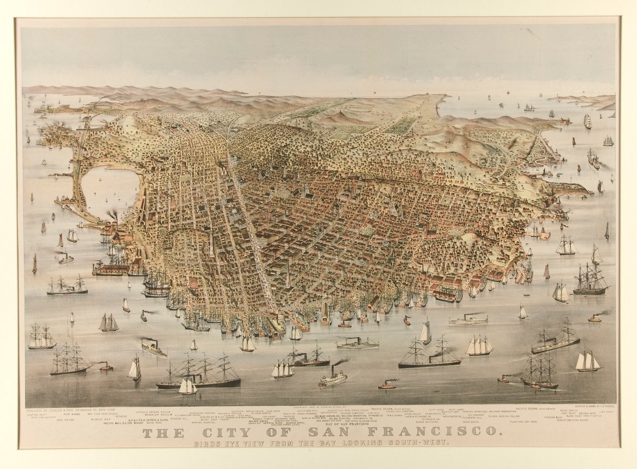 Byen San Francisco - Fugl af Charles Parsons