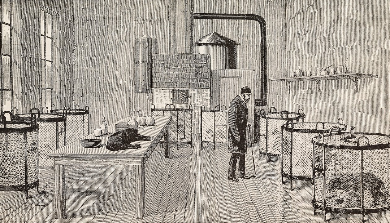 Hunde i bure i laboratoriet hos Louis Pasteur (1822-1895), fransk kemiker og biolog, Paris, Frankrig, stik fra L