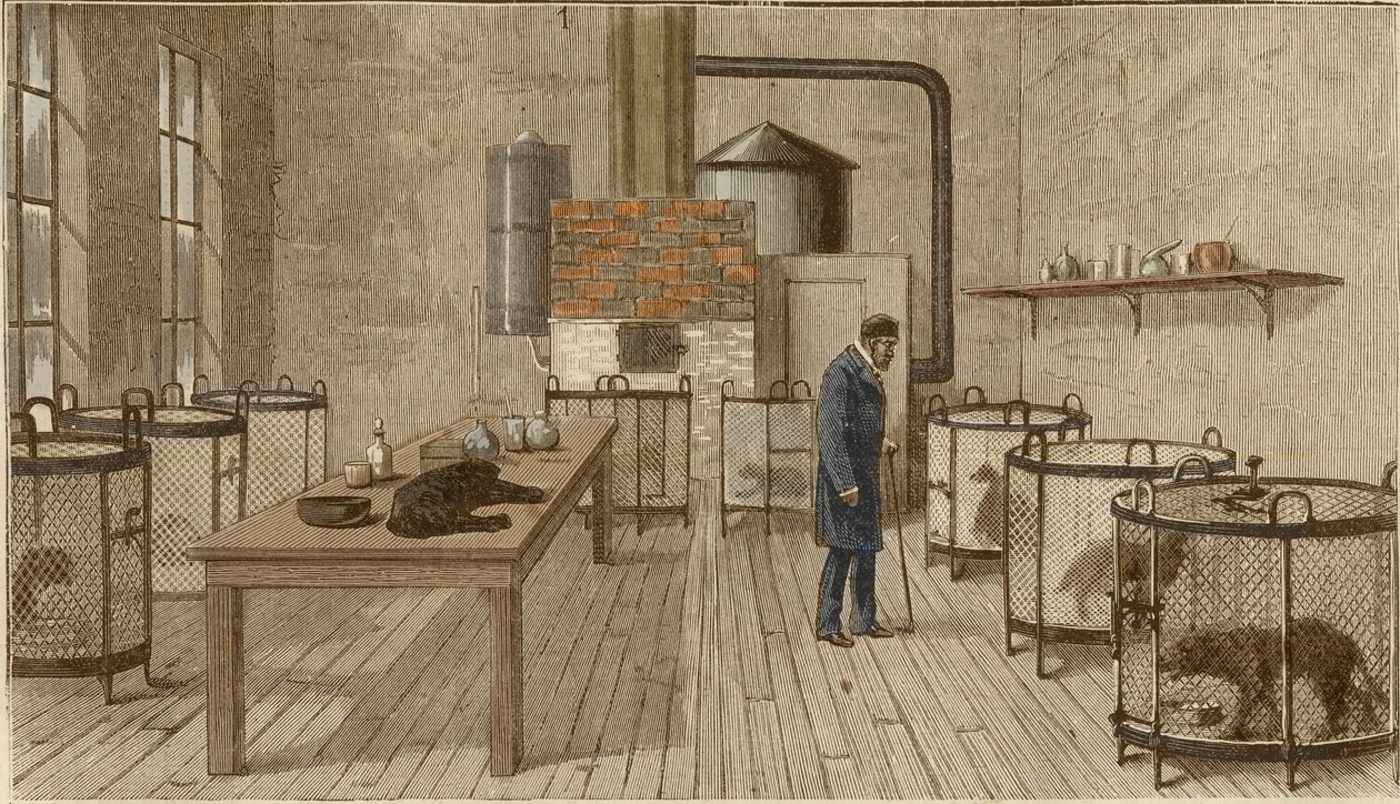 Dogs in cages inside laboratory of Louis Pasteurdani af Charles Paul Renouard