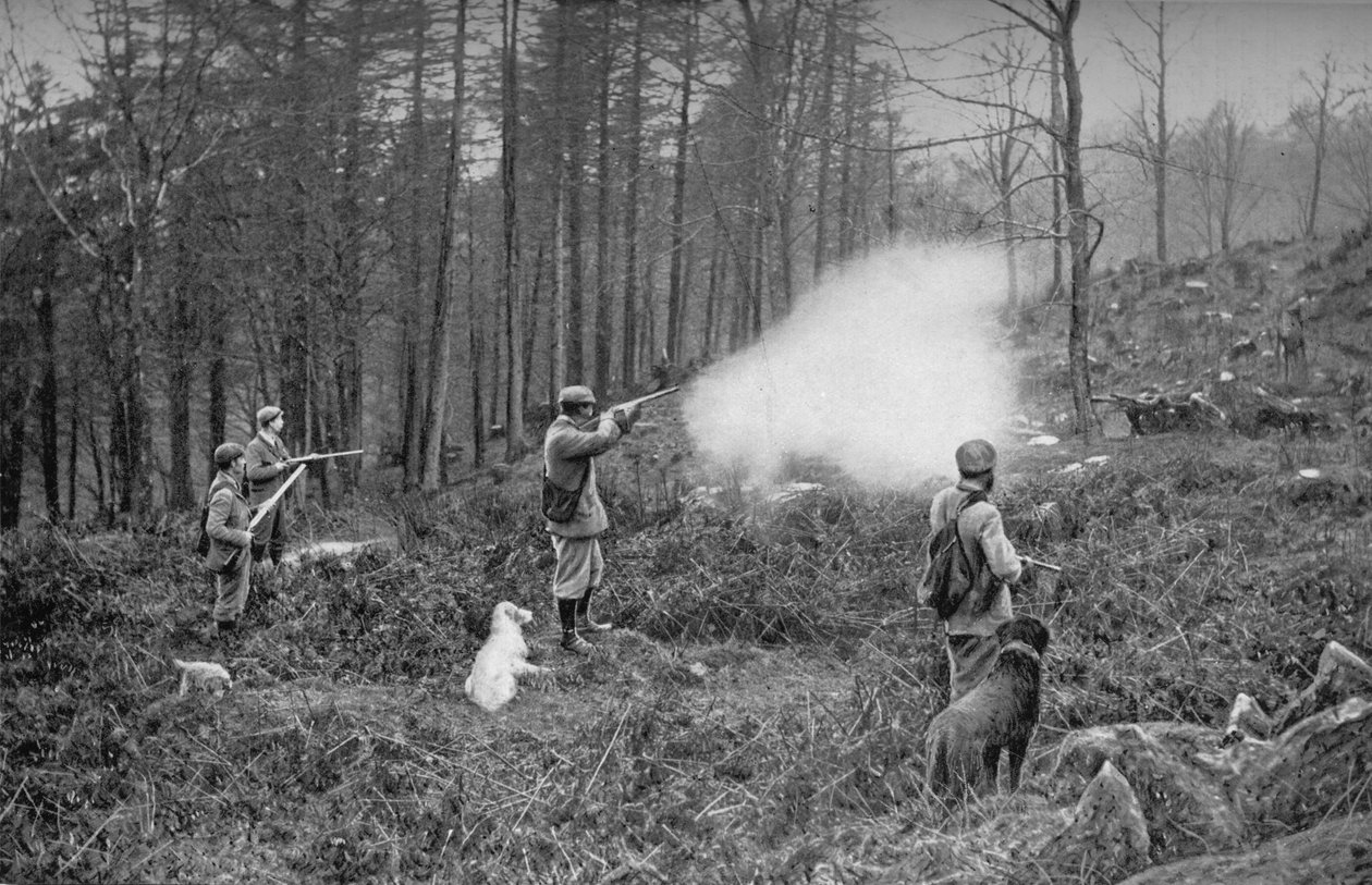 I The Coverts, c1902, 1903 af Charles Reid