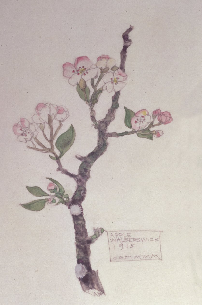Apple, Walberswick, 1915 (blyant og wc) af Charles Rennie Mackintosh