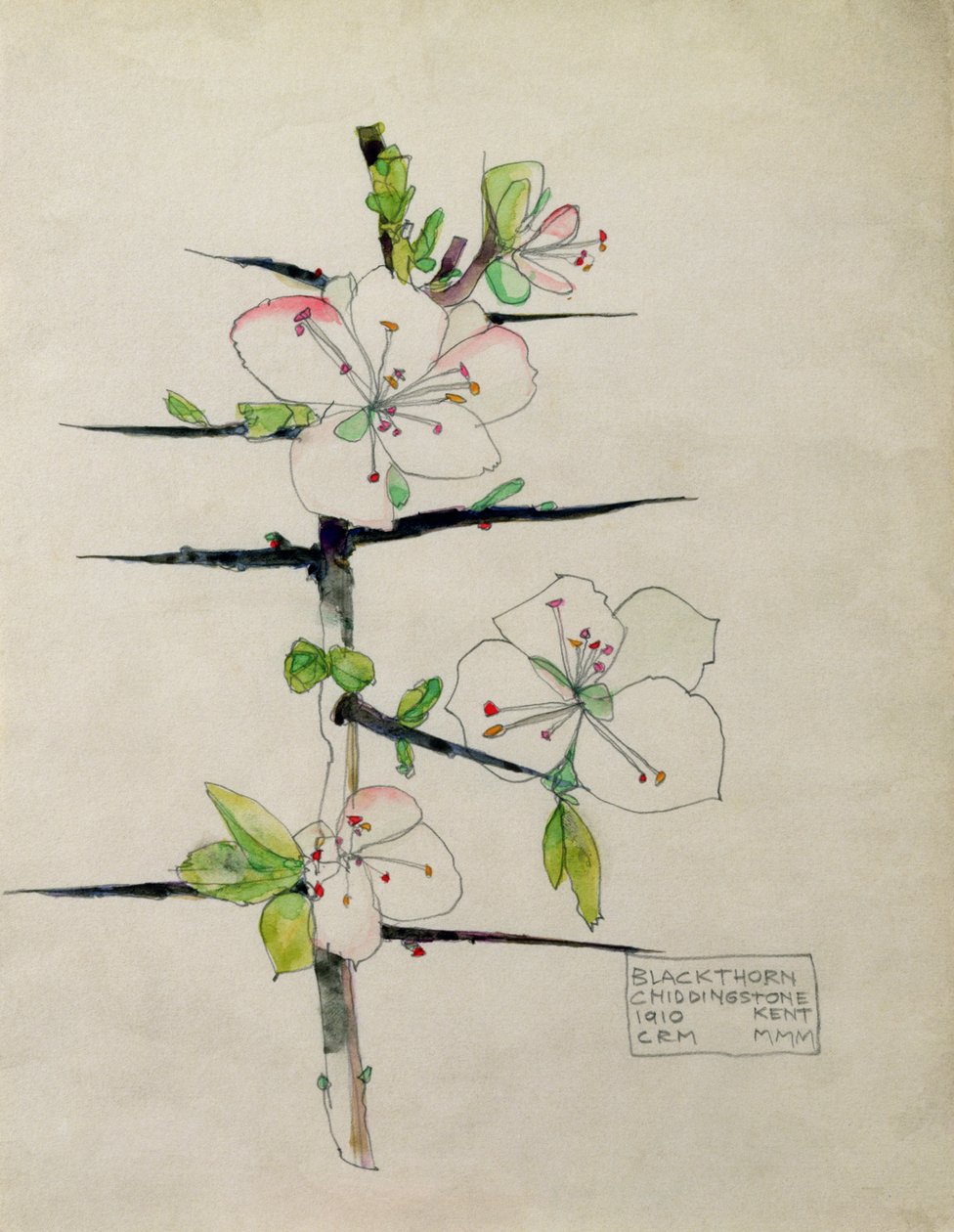 Blackthorn, Chiddingstone, Kent, 1910 (wc) af Charles Rennie Mackintosh