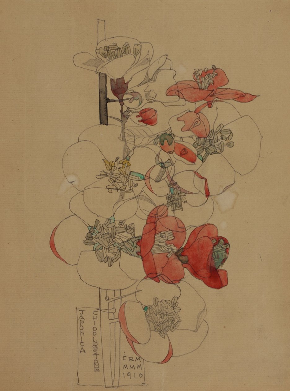 Japonica af Charles Rennie Mackintosh