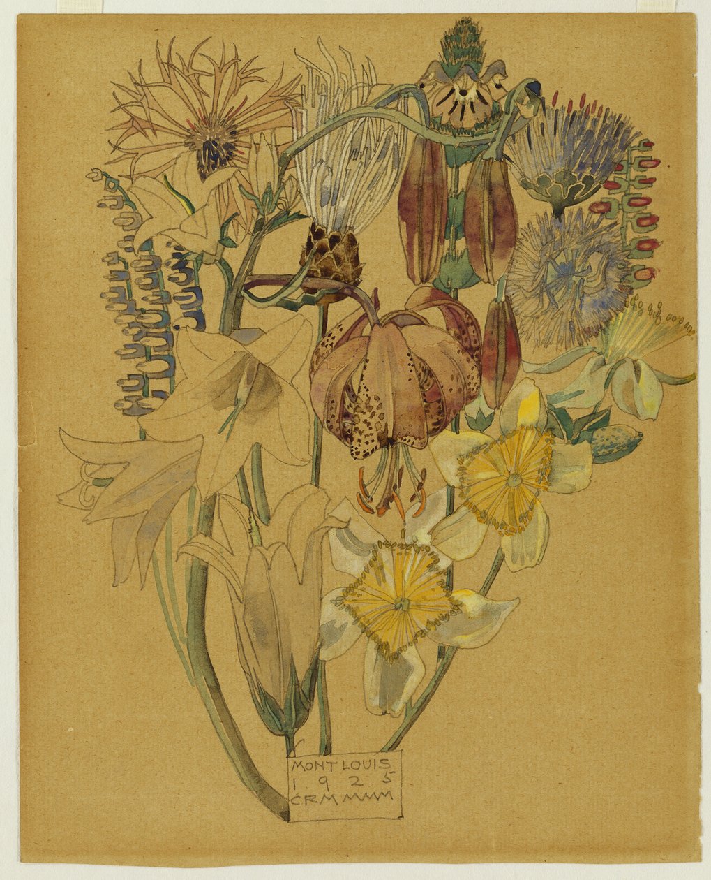Mont Louis - Blomsterstudie, 1925 af Charles Rennie Mackintosh