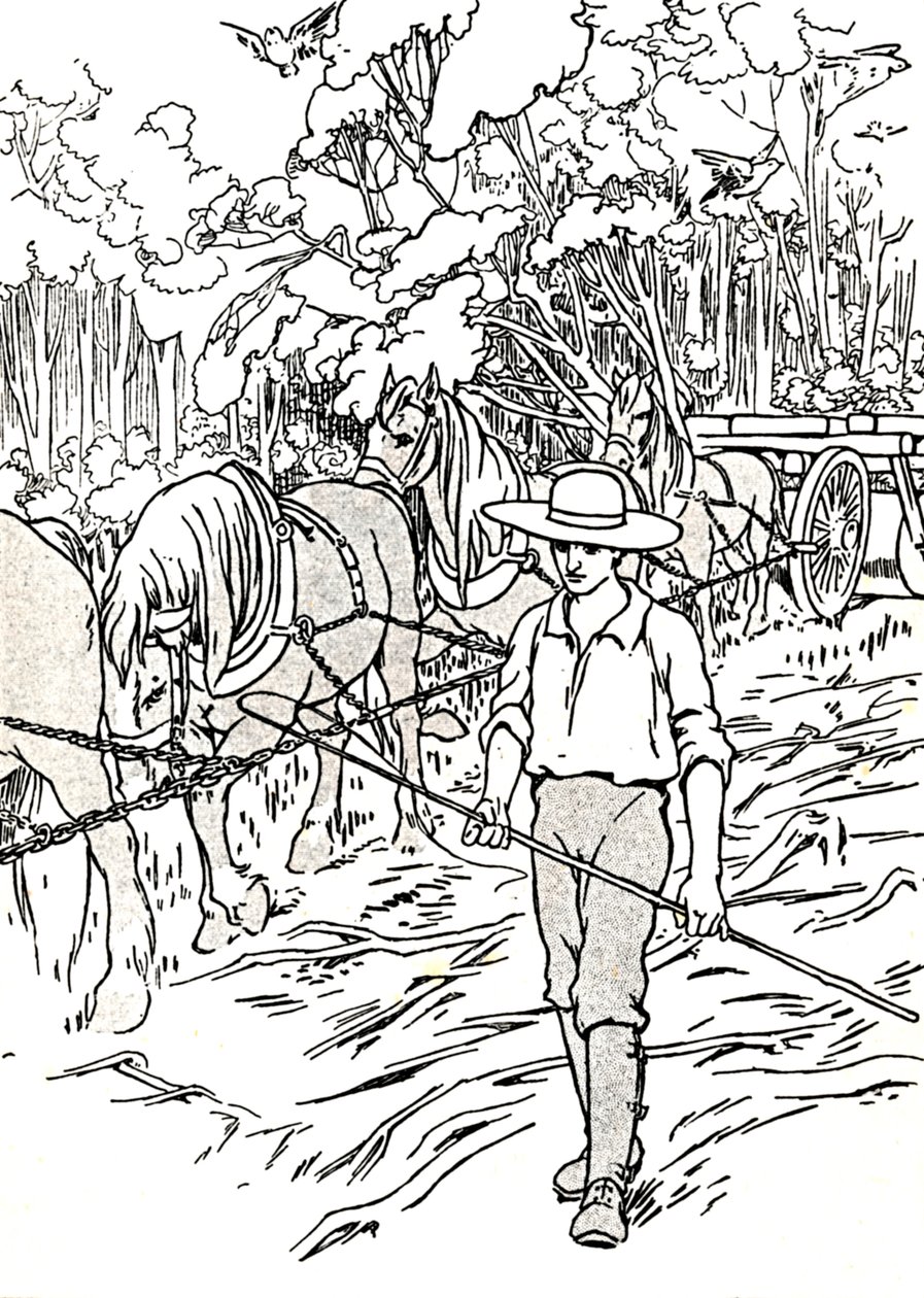 En nybygger rydder sit land, 1912 af Charles Robinson