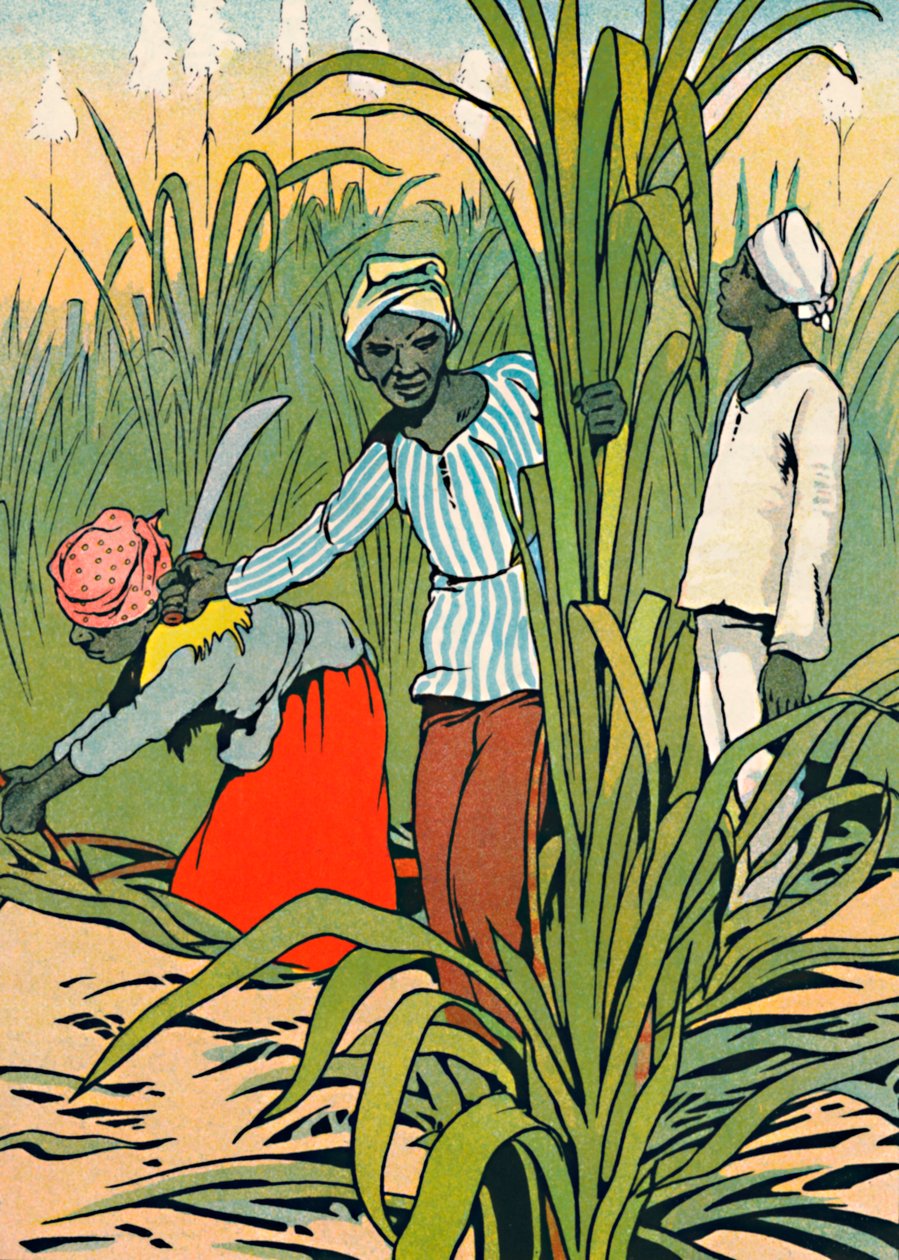 At Work Among The Sugar-Canes, 1912 af Charles Robinson