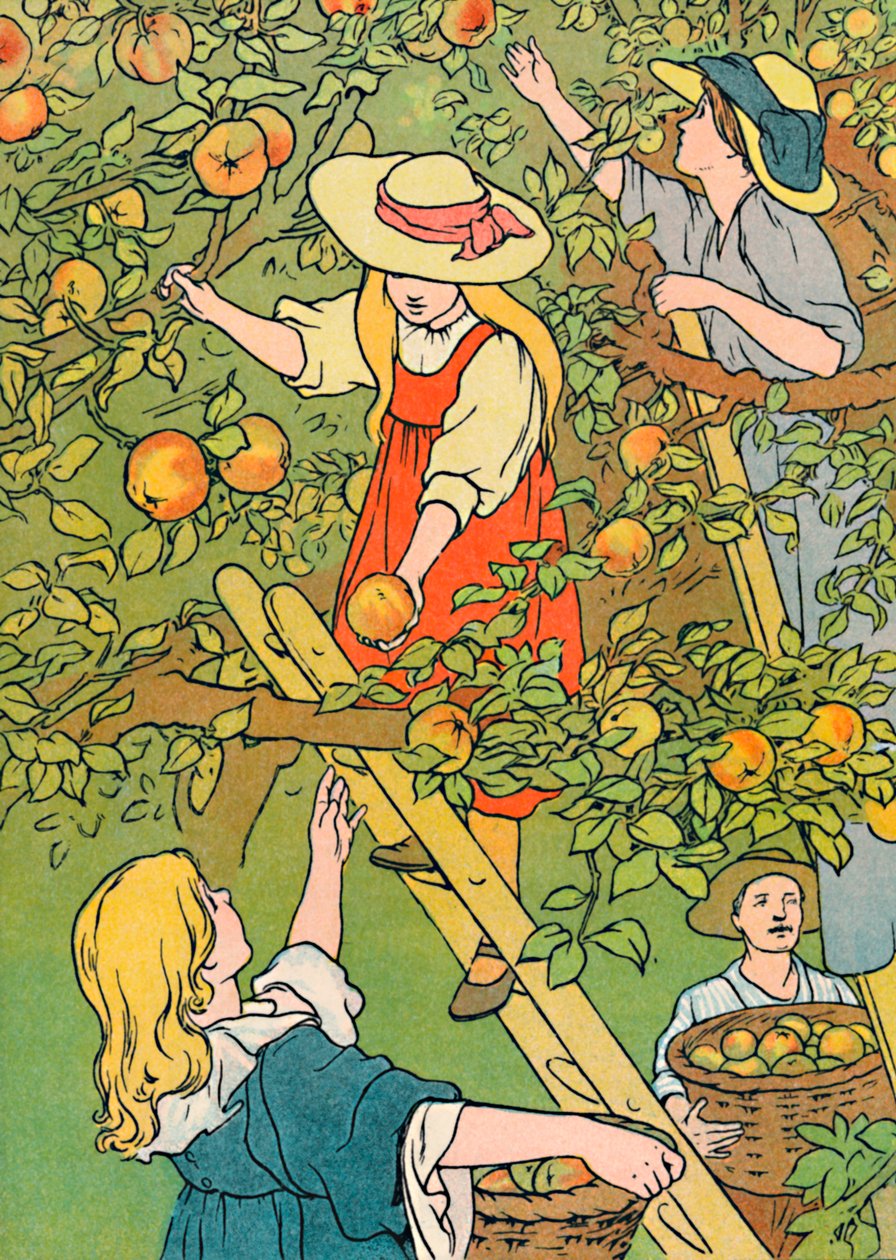 Pluk frugten, 1912 af Charles Robinson