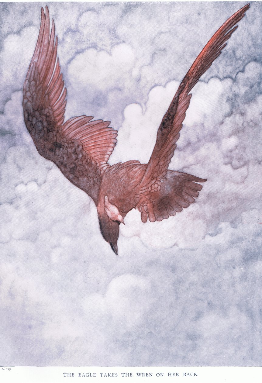 Ørnen tager Wren på ryggen, 1930