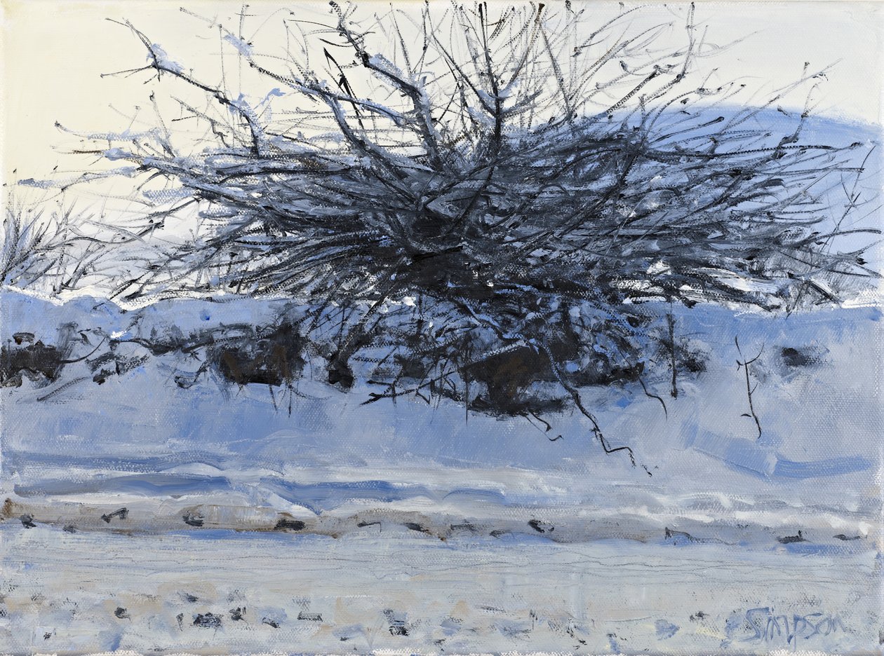 Hawthorn, 2011 (olie på lærred) af Charles Simpson