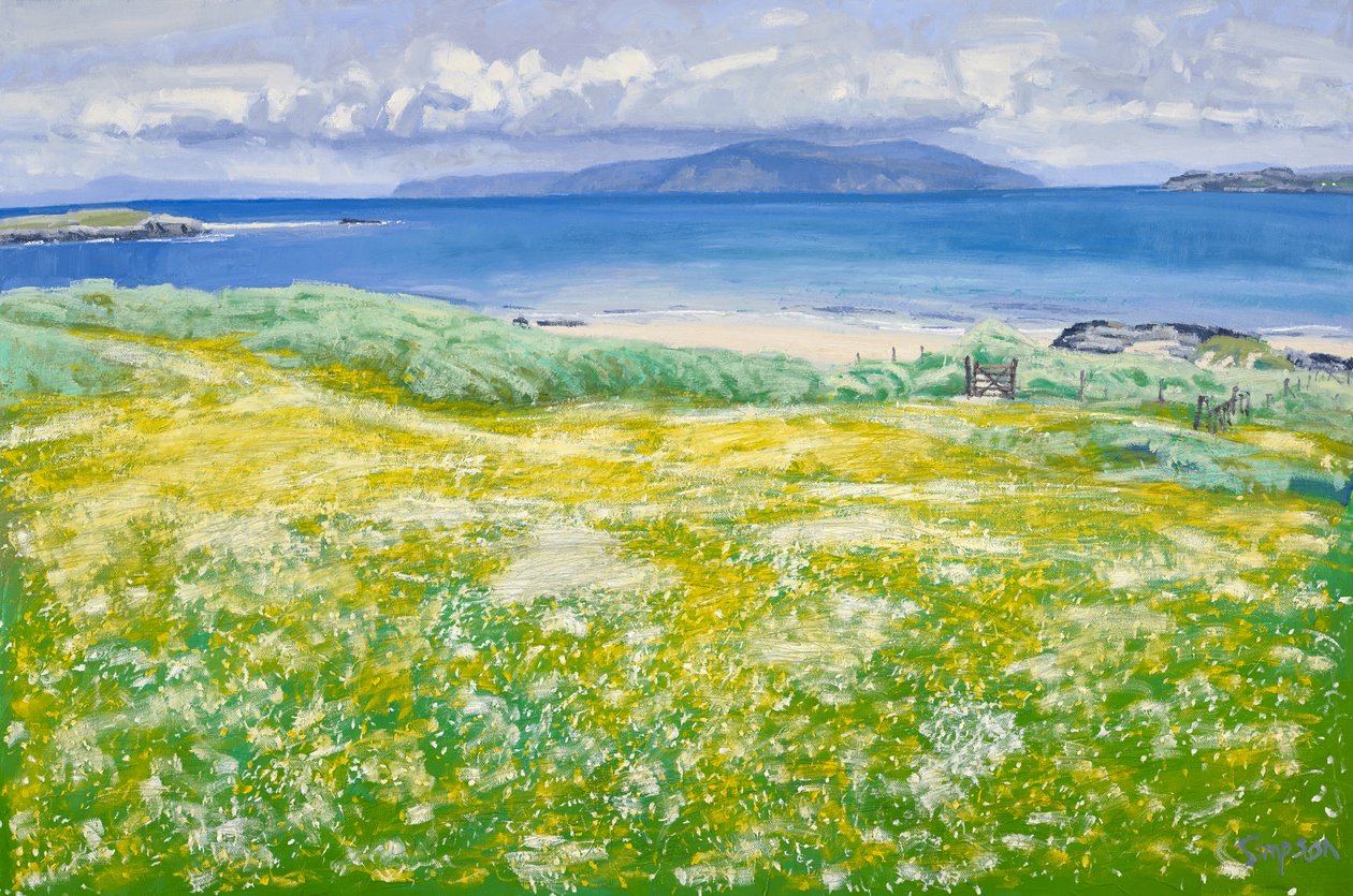 Machair, North End Iona, 2015 (olie på lærred) af Charles Simpson