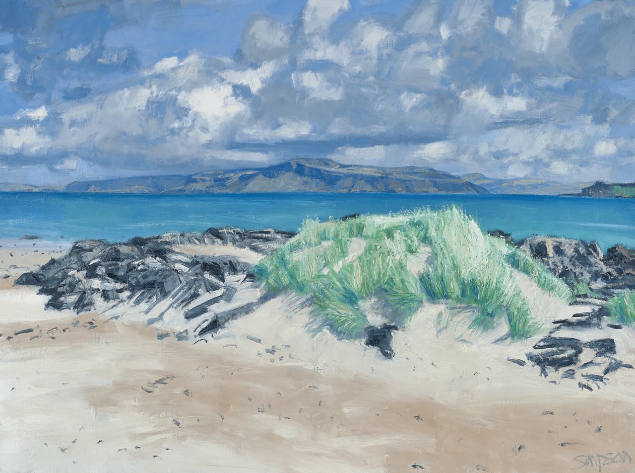 Rocks  Grasses, Iona, 2013 (olie på lærred) af Charles Simpson