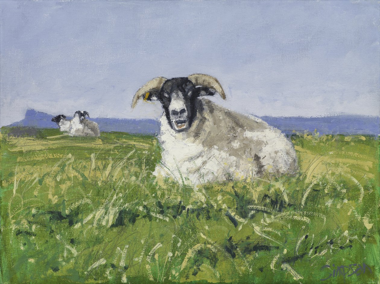 West Coast Sheep, 2017 (olie på lærred) af Charles Simpson