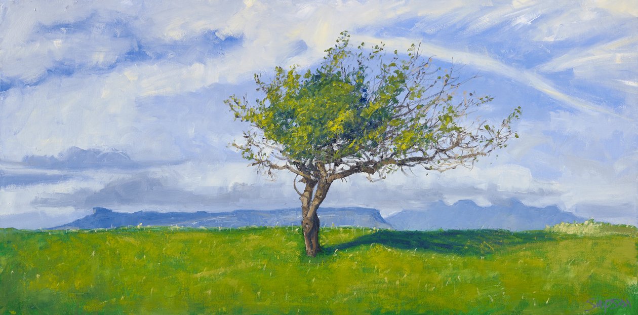 West Coast Tree, 2015 (olie på lærred) af Charles Simpson