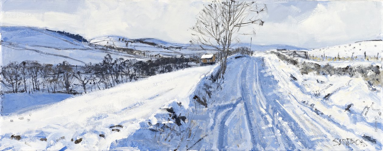 Winter Valley, 2011 (olie på lærred) af Charles Simpson