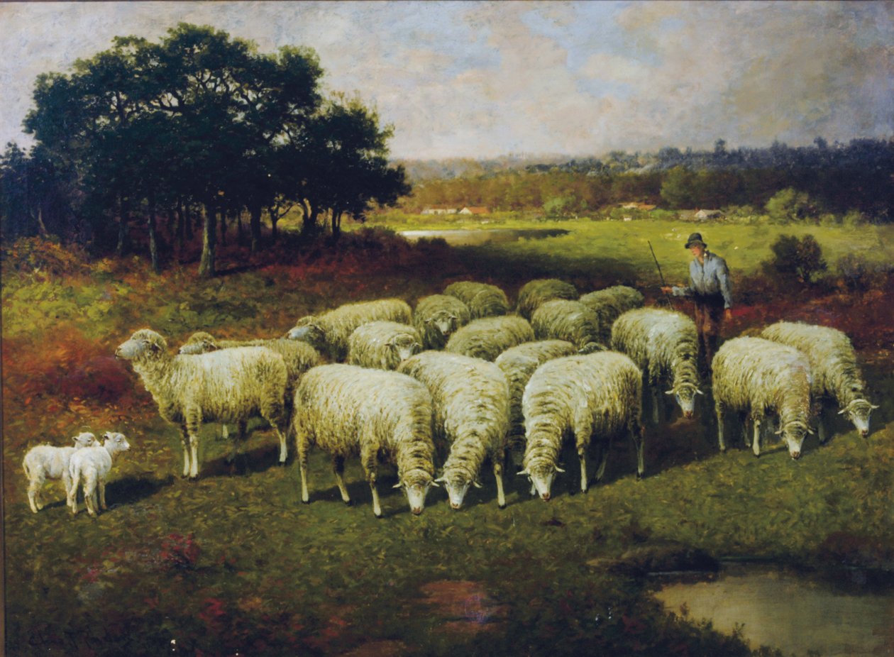 En hyrde med sine får ude på marken, 1898 af Charles T. Phelan