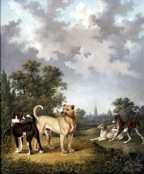 Dogs in a Landscape, ca. 1820 (olie på lærred) af Charles Towne