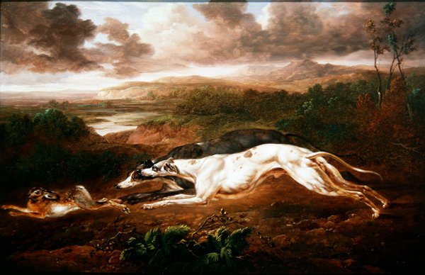 To greyhounds jager efter en hare (olie på panel) af Charles Towne