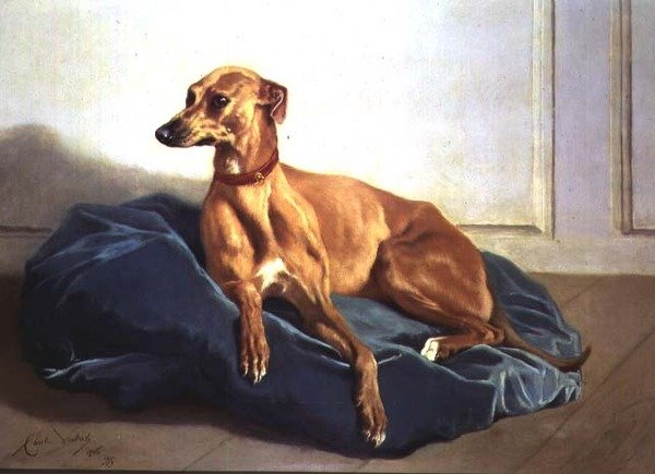 Studie af en hund af Charles Verlat