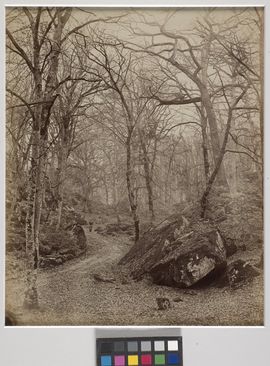 Fontainebleau, ca. 1870 (albumin print) af Charles Victor Famin