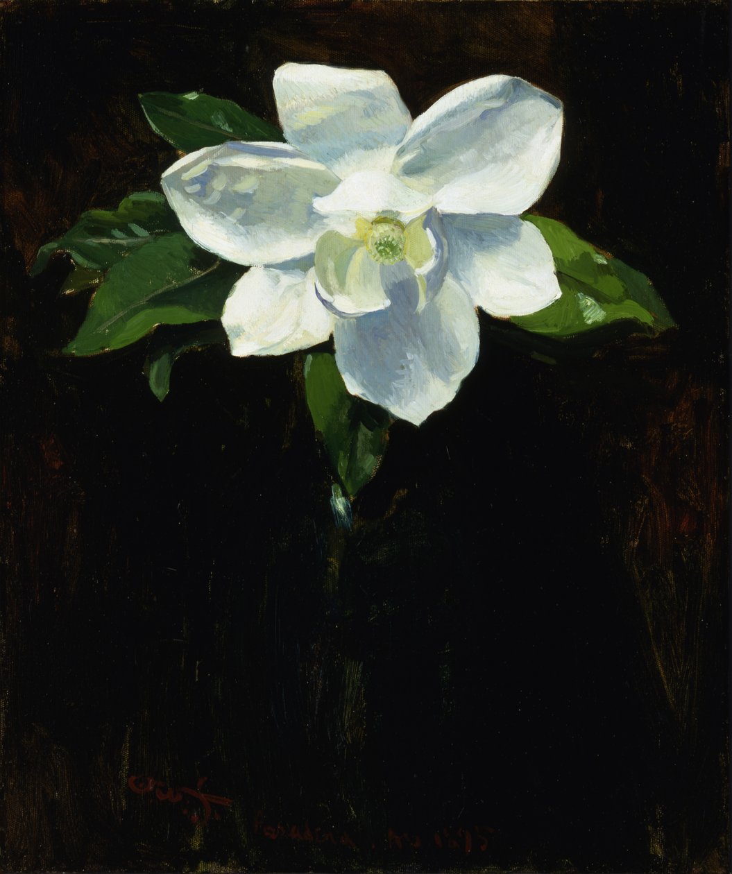 Magnolia, 1895. af Charles Walter Stetson