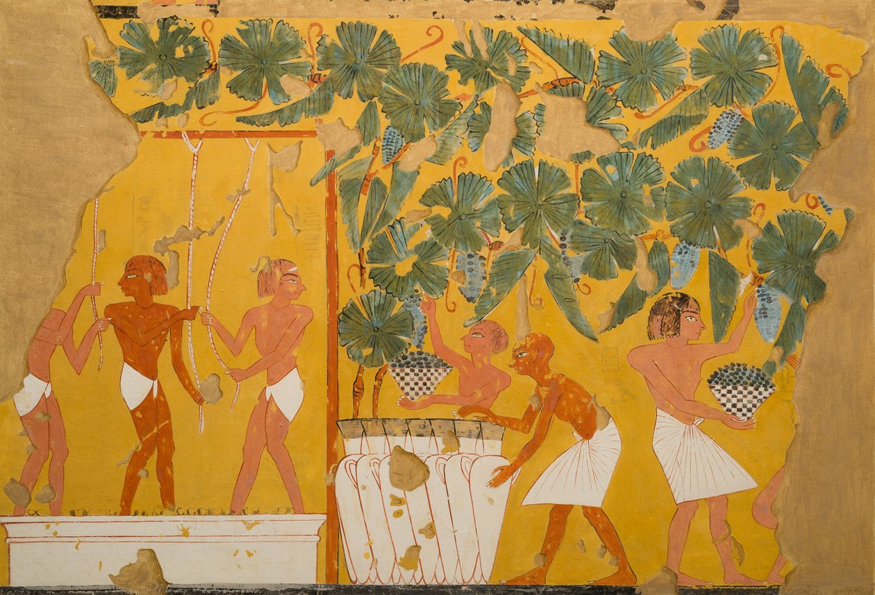 Vinfremstilling, Ipuys grav (tempera på papir) af Charles Wilkinson