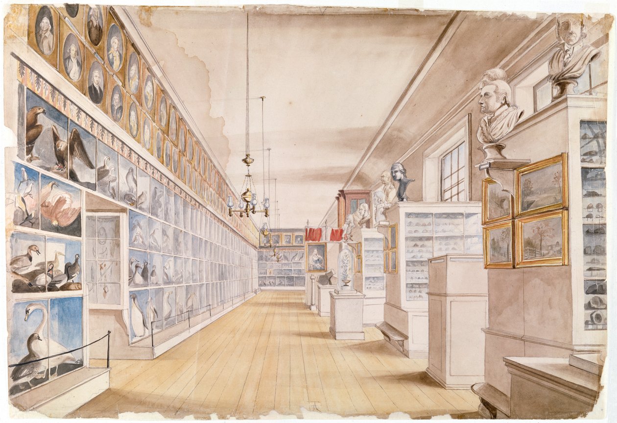 The Long Room, Interiør af Front Room i Peales Museum, 1822 (wc over grafit på papir) af Charles Willson Peale