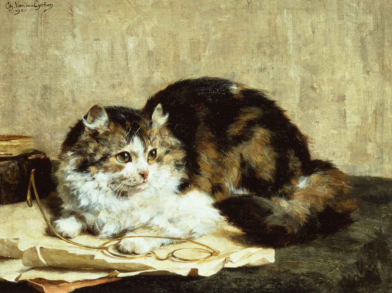 En tabby kat af Charles van den Eycken
