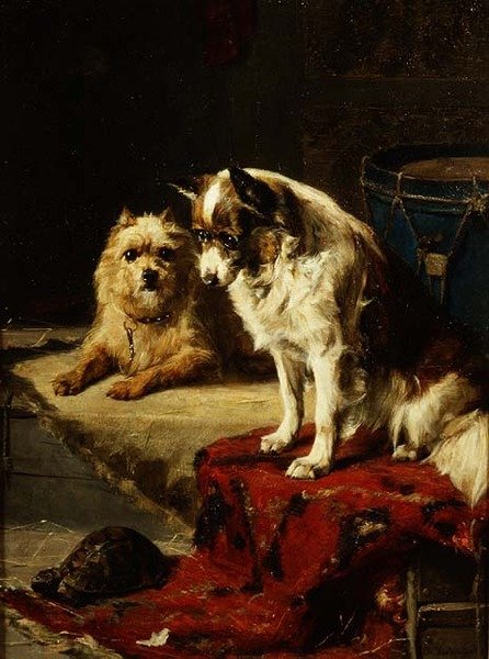 Hunde og en skildpadde af Charles van den Eycken