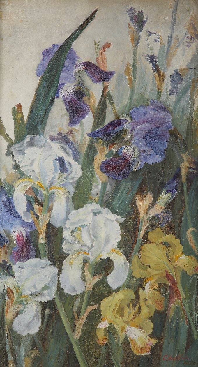 Iris, 1882 af Charlotte Hodder