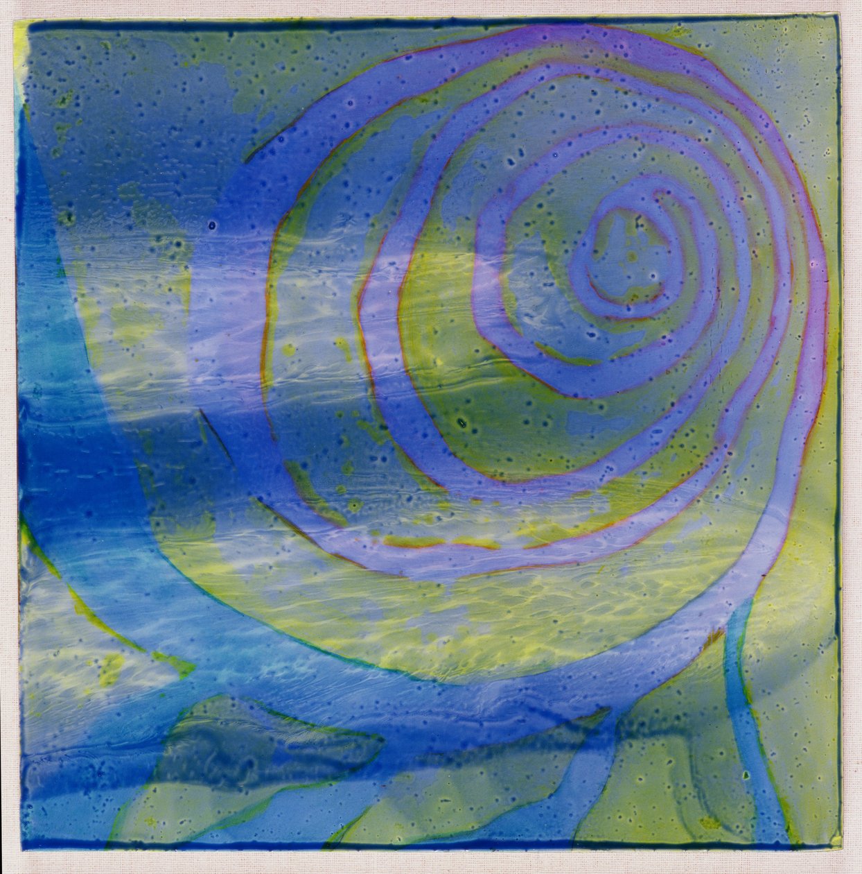 Boodhoo Lagoon, 2000 (olie på gesso) af Charlotte Johnstone