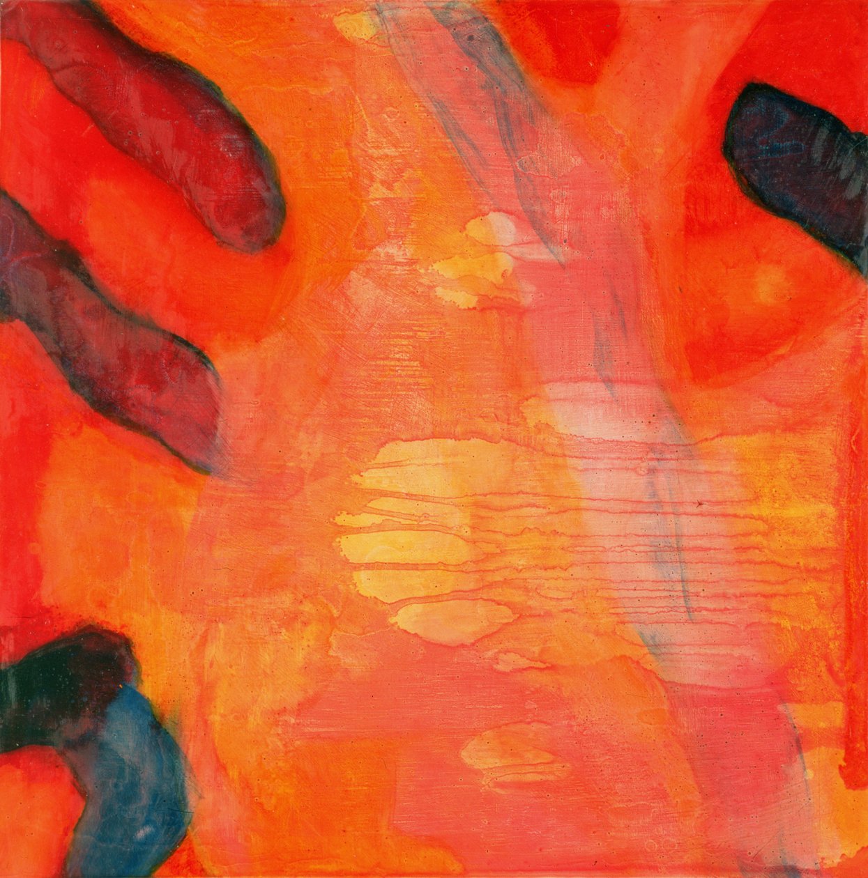 Clown Fish II, 1997 (olie og glasur på gesso board) af Charlotte Johnstone