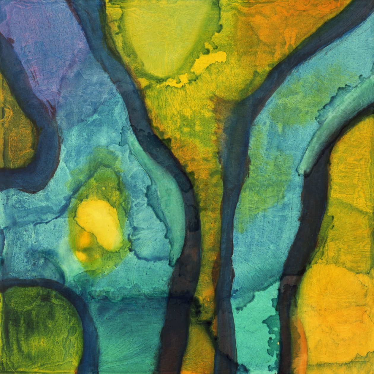 Goby, 1997 (olie og glasur på gesso board) af Charlotte Johnstone