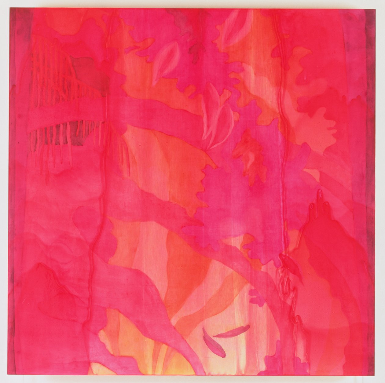 Mascarene Maya, 2000 (olie på gesso) af Charlotte Johnstone