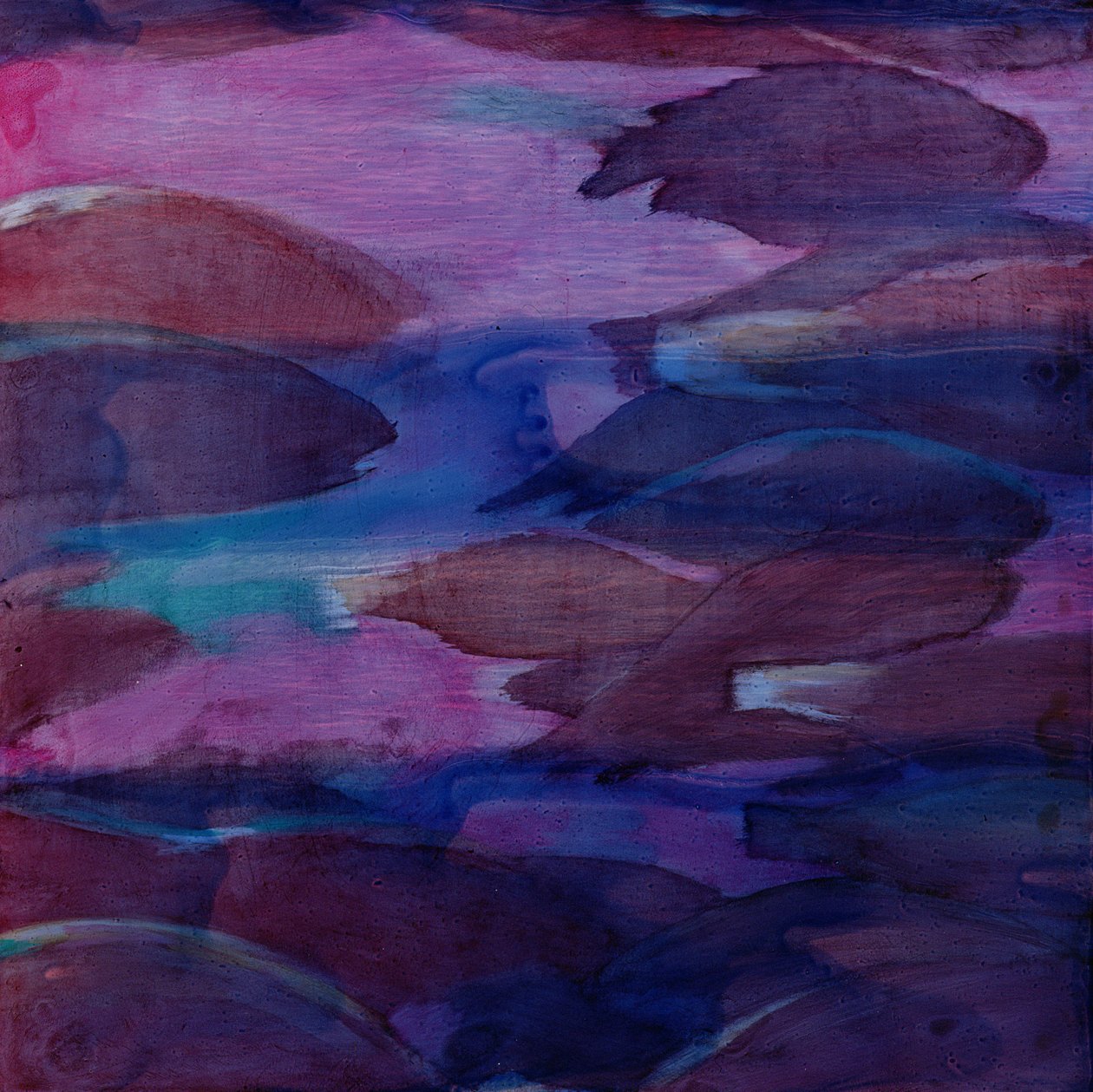 Lilla papegøjer VI, 2000 (olie på gesso) af Charlotte Johnstone