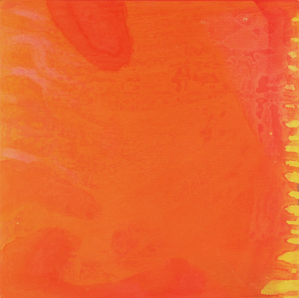 Rabbit Orange, 1997 (olie og glasur på gesso board) af Charlotte Johnstone