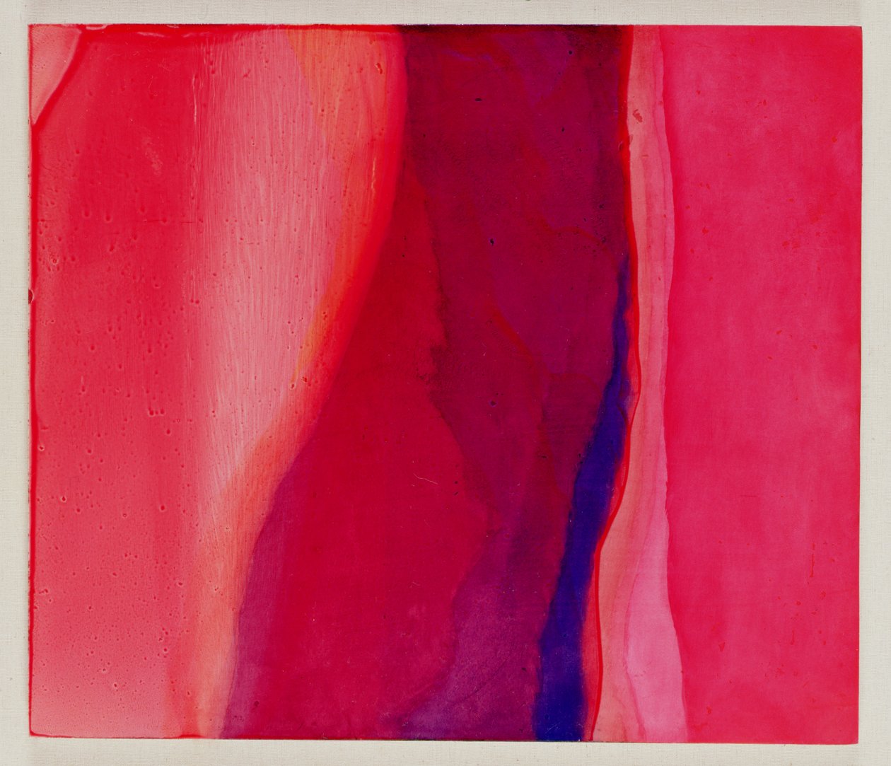Sari Fish, 2000 (olie på gesso) af Charlotte Johnstone