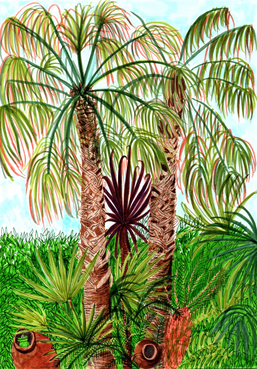 Barcelona Palms, 2017 (penselpenne) af Charlotte Orr