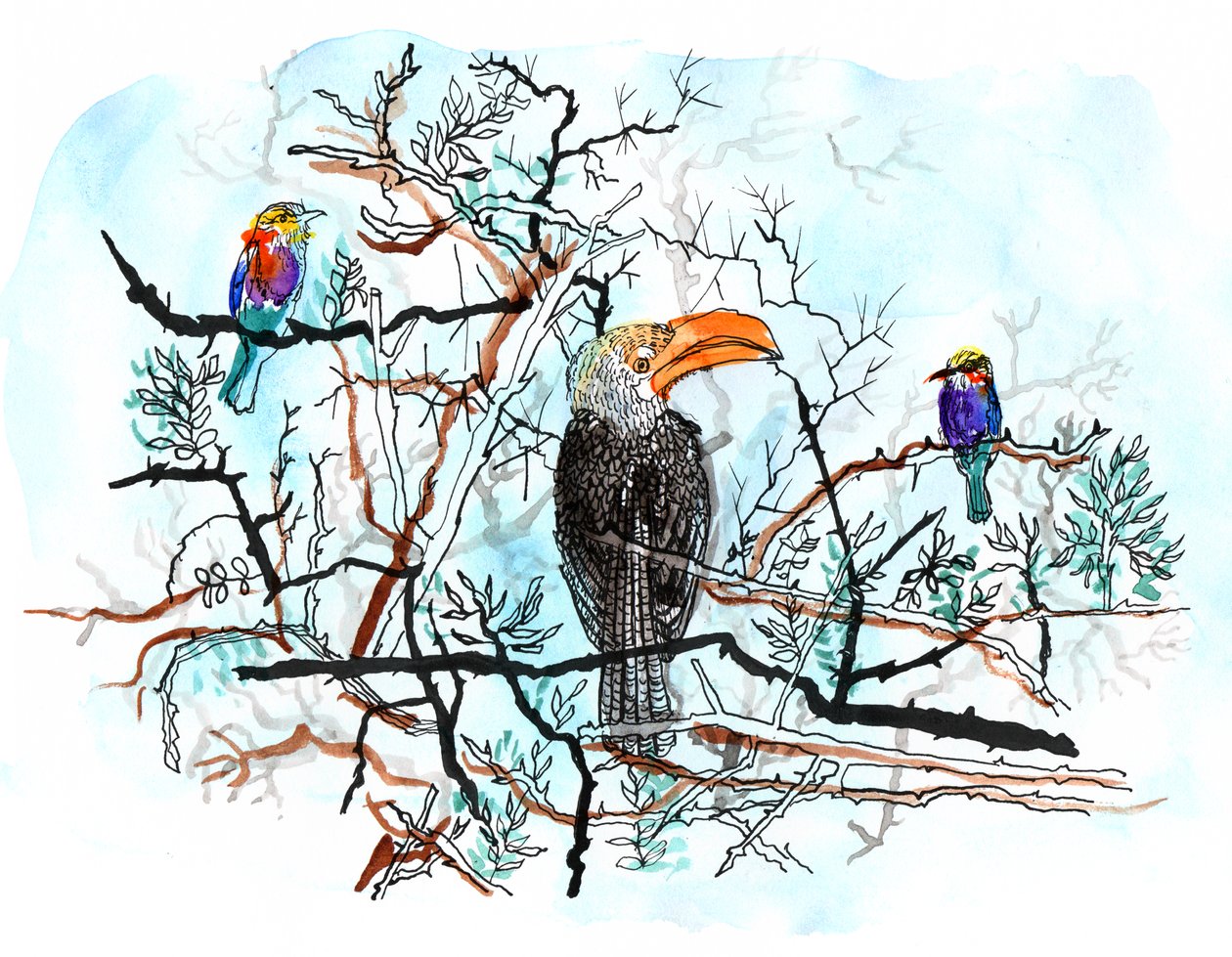 Bird in Tree, 2018 (pen, blæk og akvarel) af Charlotte Orr