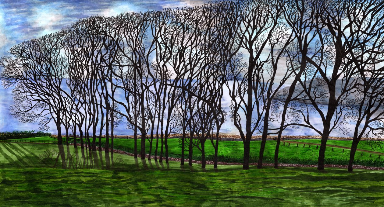 Cushendun, Nordirland, 2020 af Charlotte Orr