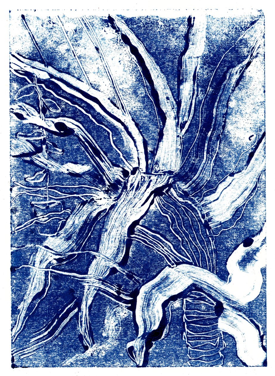 Inky Plants no.2, 2019 (monoprint) af Charlotte Orr